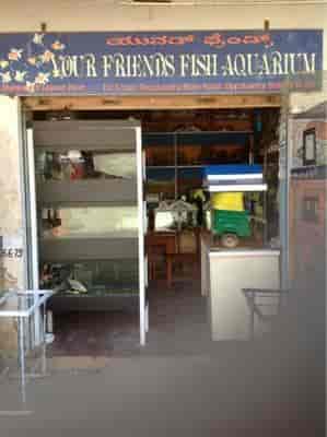 Pet shop in phoenix market city best sale