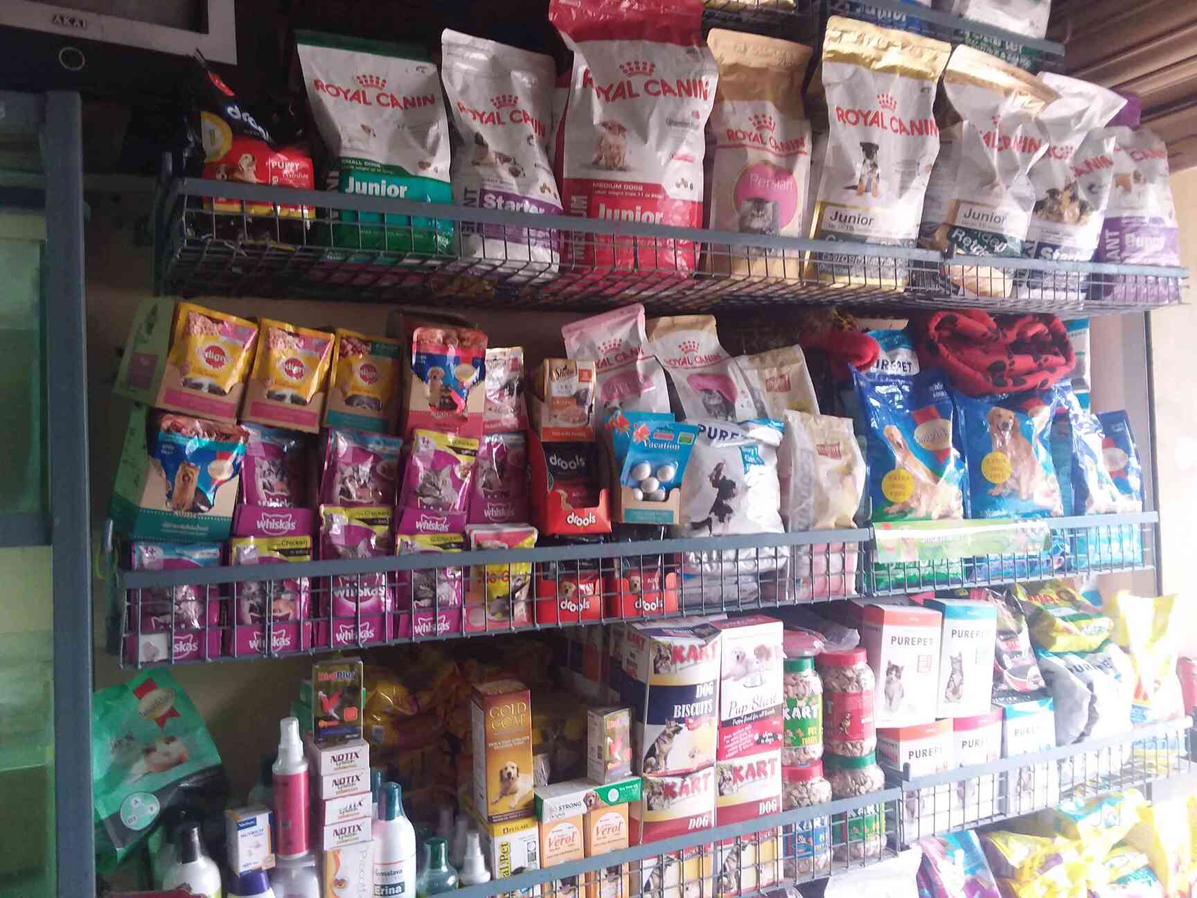 Top Pet Shops For Rabbit In Sahakara Nagar Best Pet Stores For Rabbit Bangalore Justdial