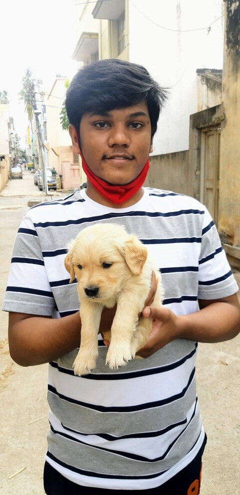 The Animal Connection Bow Bow in Gavipuram Extension,Bangalore - Best Pet Shops in Bangalore - Justdial The Animal Connection Bow Bow in Gavipuram Extension,Bangalore - Best Pet Shops in Bangalore - Justdial