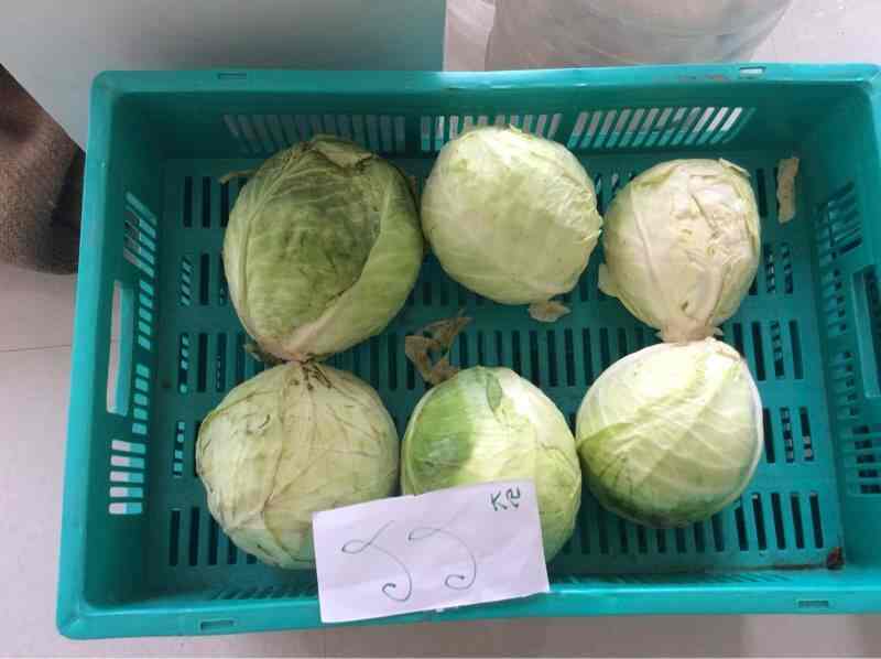 Top Fruit Home Delivery Services in Rajarajeshwari Nagar, Bangalore