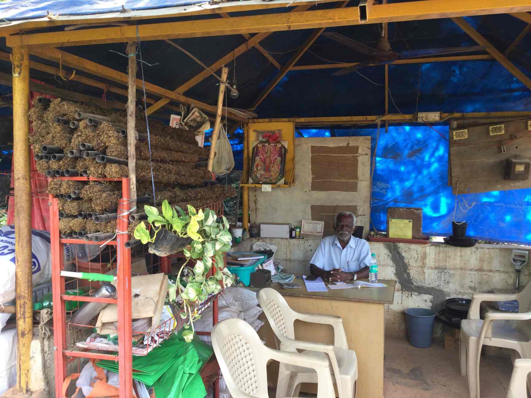 Shashi Nursery, Karmelaram Plant Nurseries in Bangalore Justdial