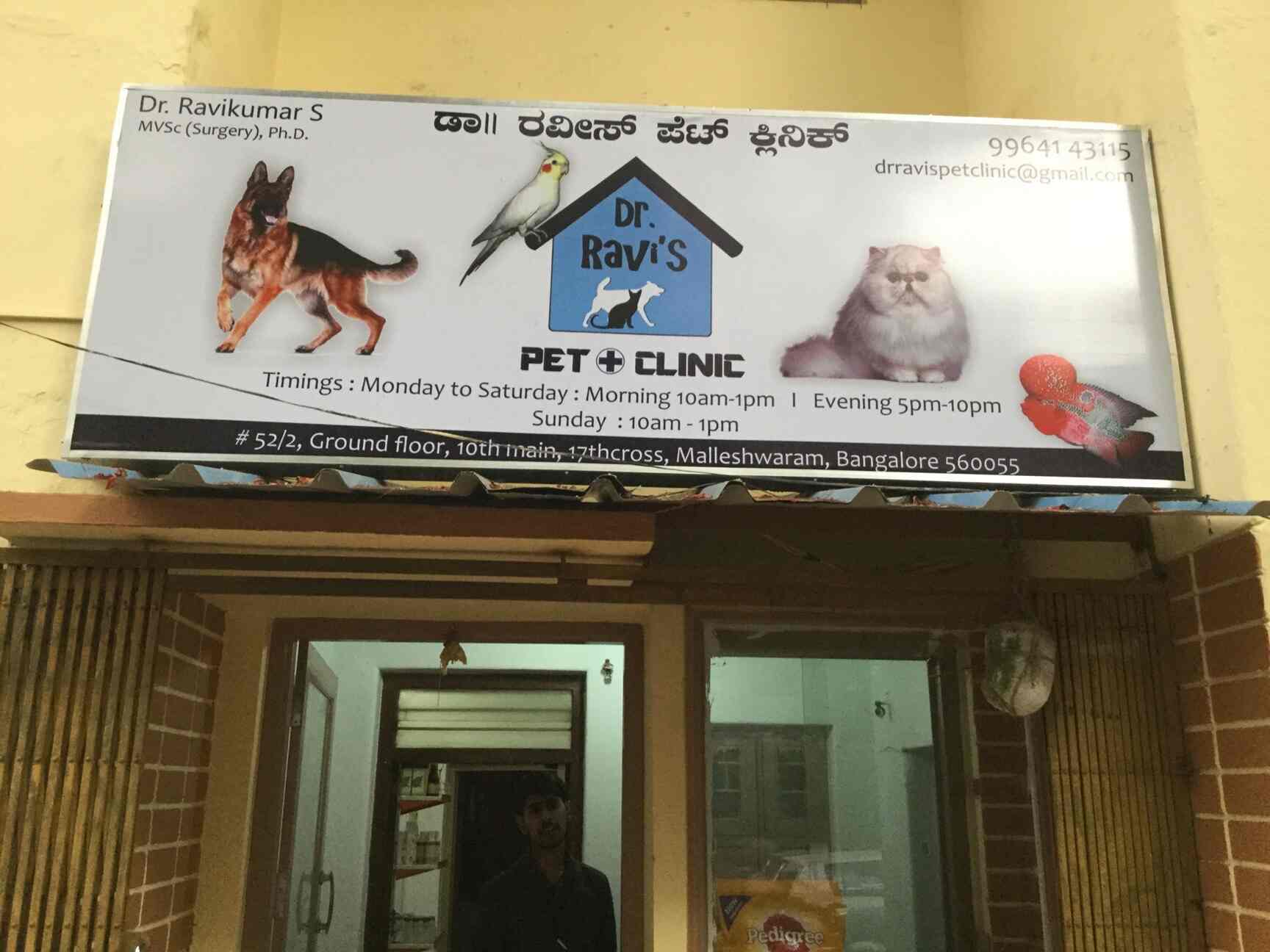 Top 20 Pet Shops In Vyalikaval Bangalore Best Pet Store Suppliers Justdial
