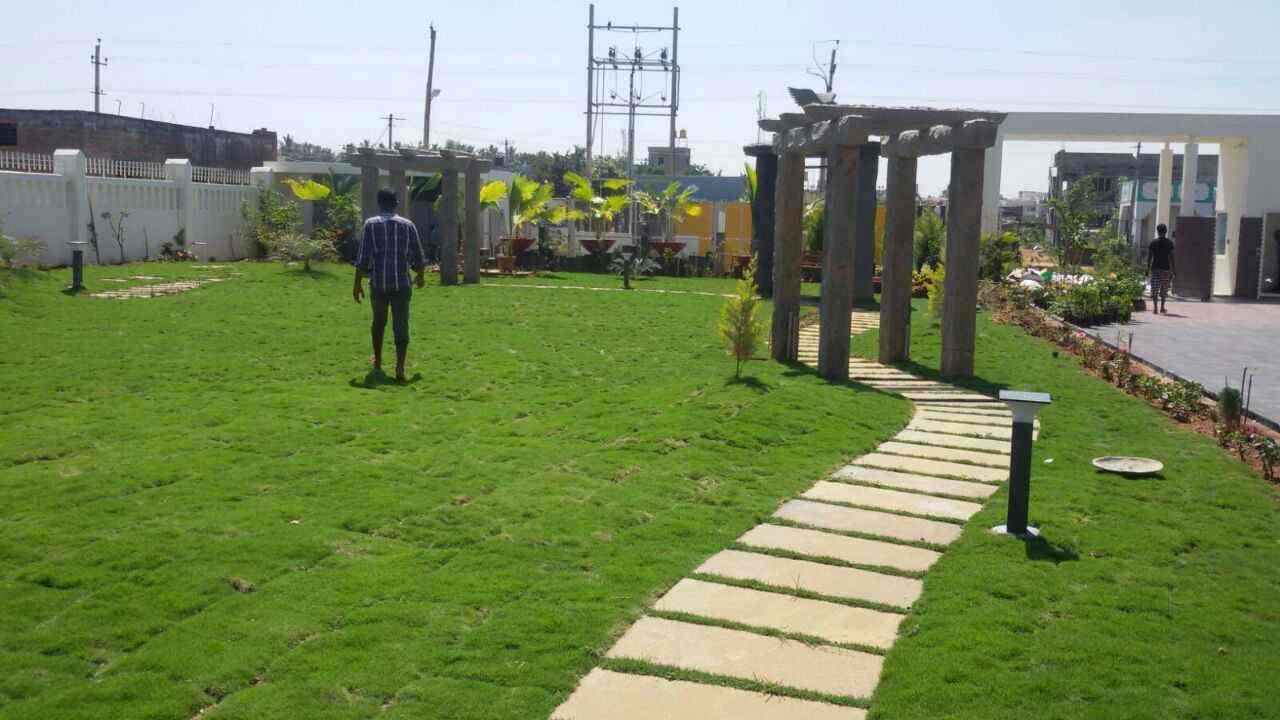 Muneshwara Nursery and Landscaping, Sadahalli Plant Nurseries in