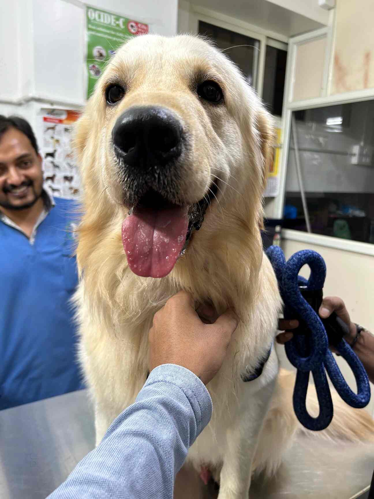 Top Public Veterinary Hospitals in Bangalore Best Government