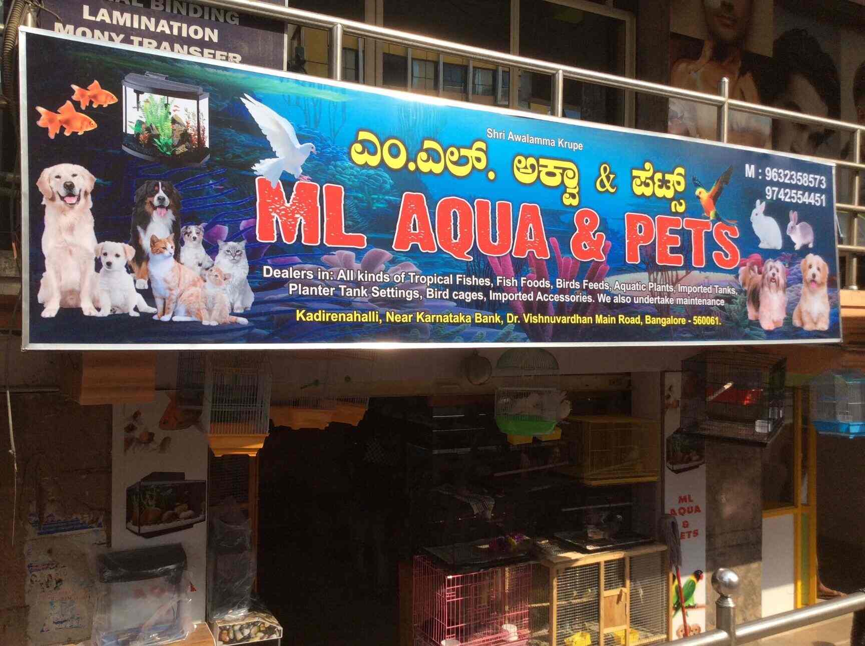 Aqua best sale pet shop