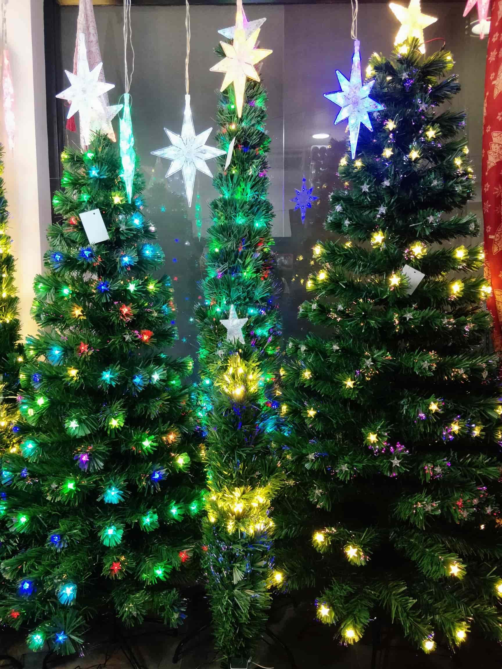 Raave Exim Pvt Ltd in Commercial Street,Bangalore Best Christmas Tree