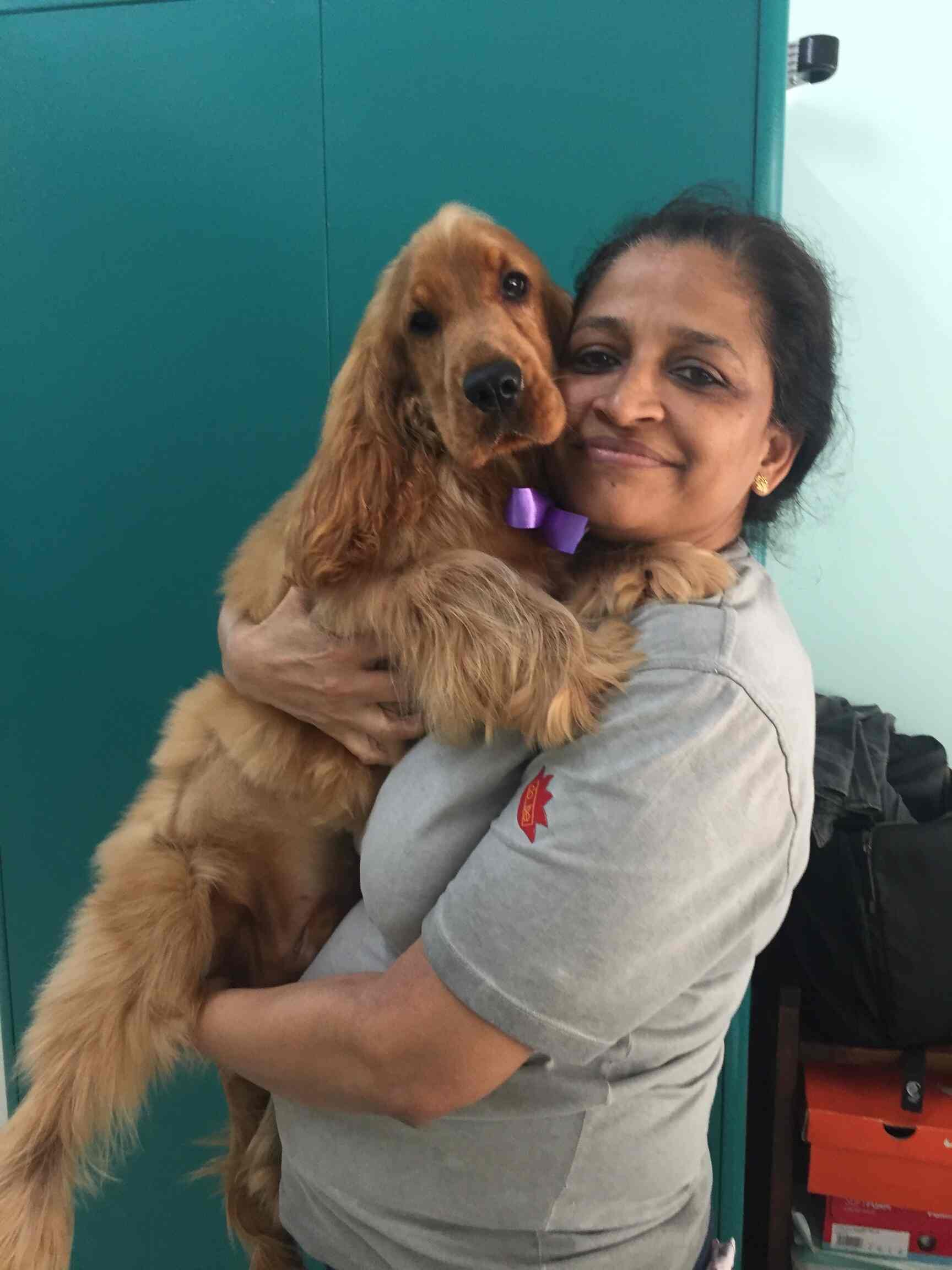 Wag Bond in Yelahanka New Town,Bangalore Best Pet Grooming Services