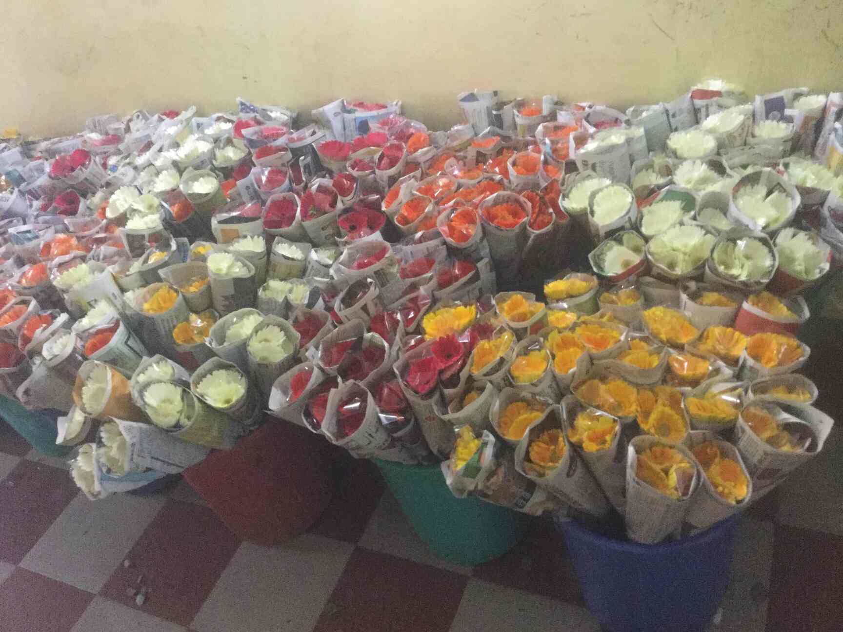 Flower Export Business In Bangalore Best Flower Site