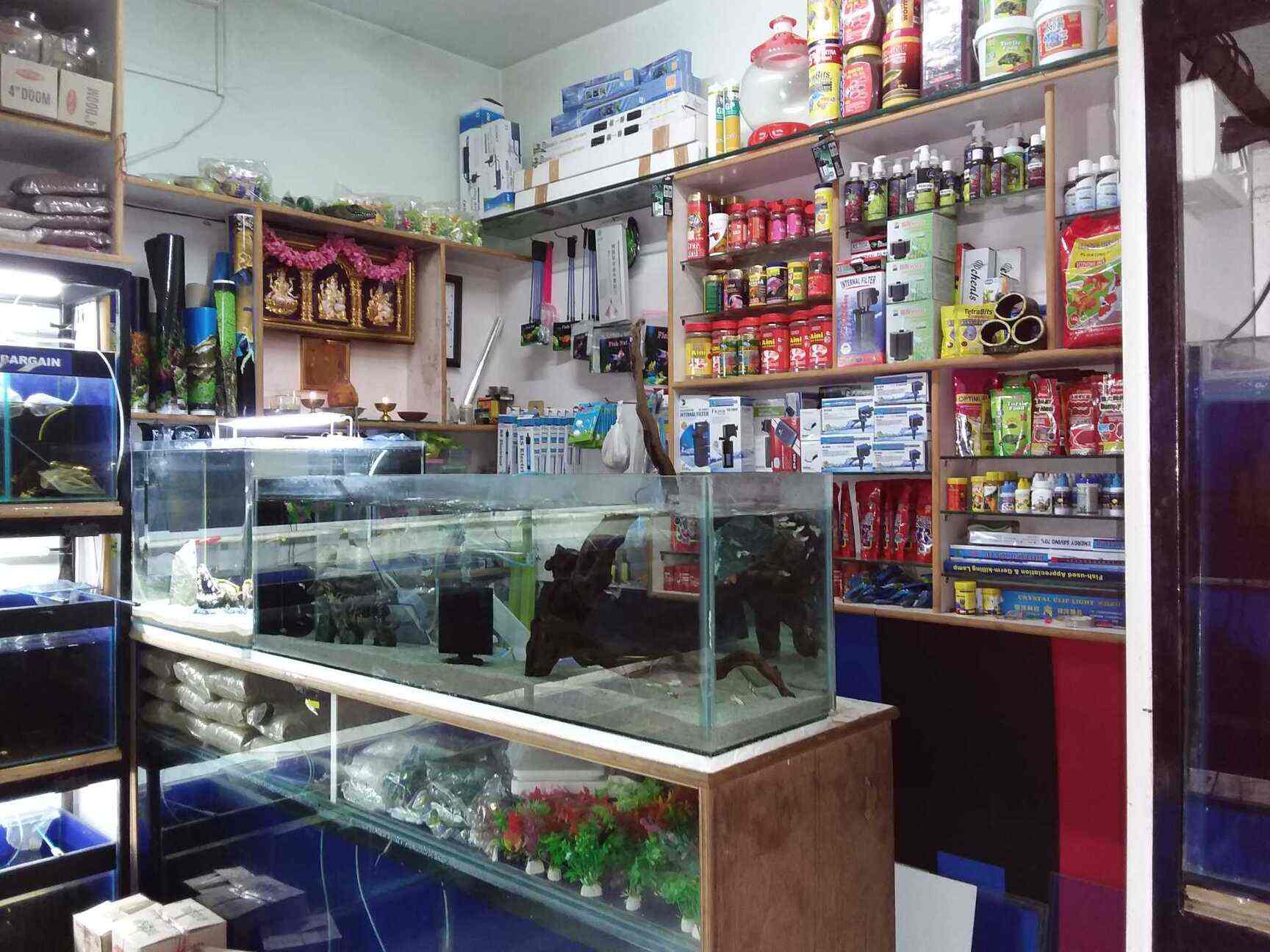 Om Sree Aquarium in Kamakshipalya,Bangalore Best Aquarium Fish