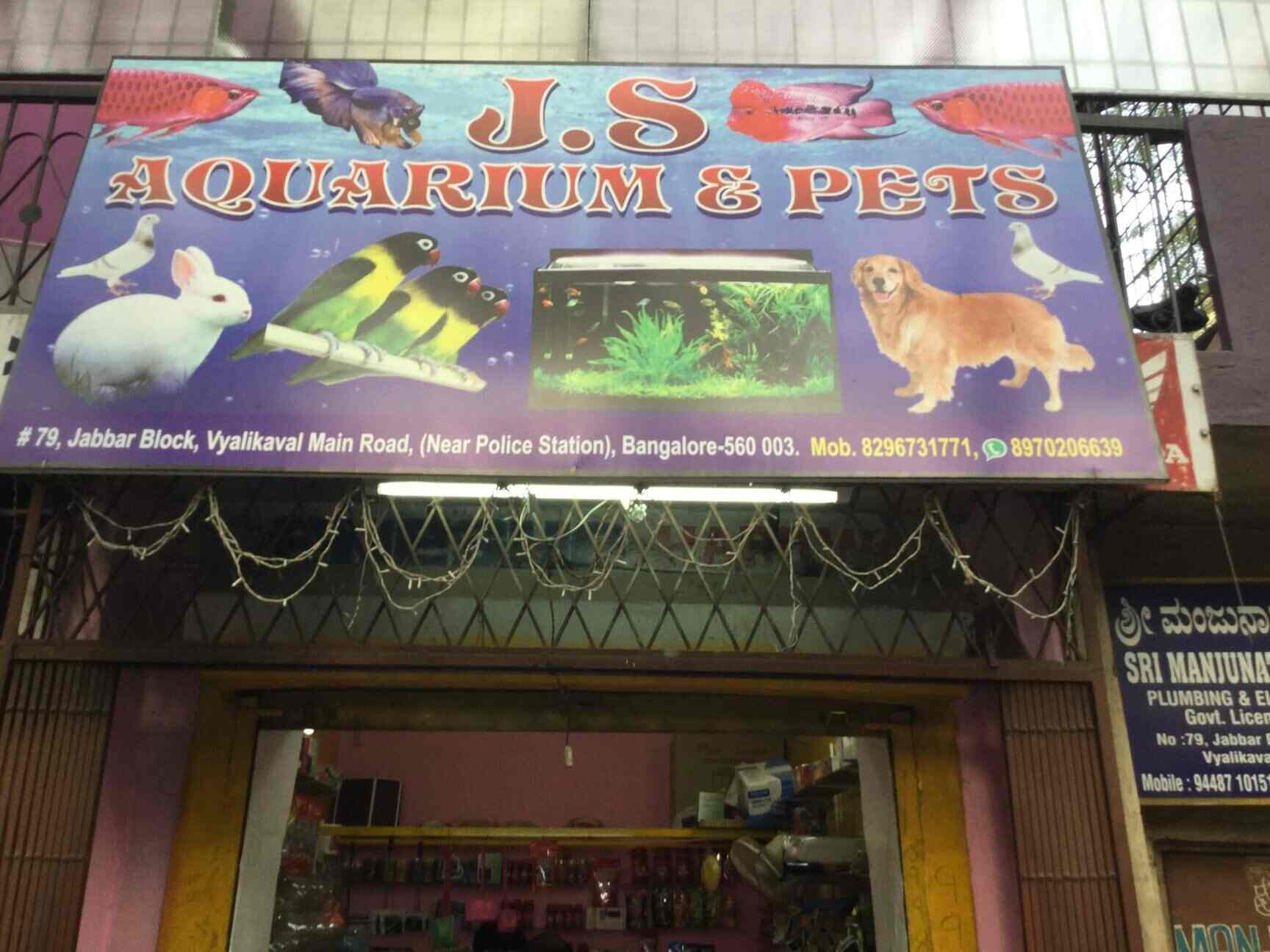 Top 10 Pet Shops For Birds In Malleswaram Best Bird Shops Bangalore Justdial