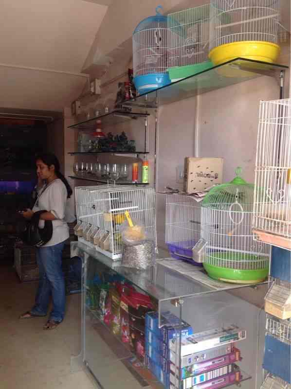 Top 20 Fish Aquariums In Banashankari 2nd Stage Bangalore Best Fish Aquarium Dealers Justdial