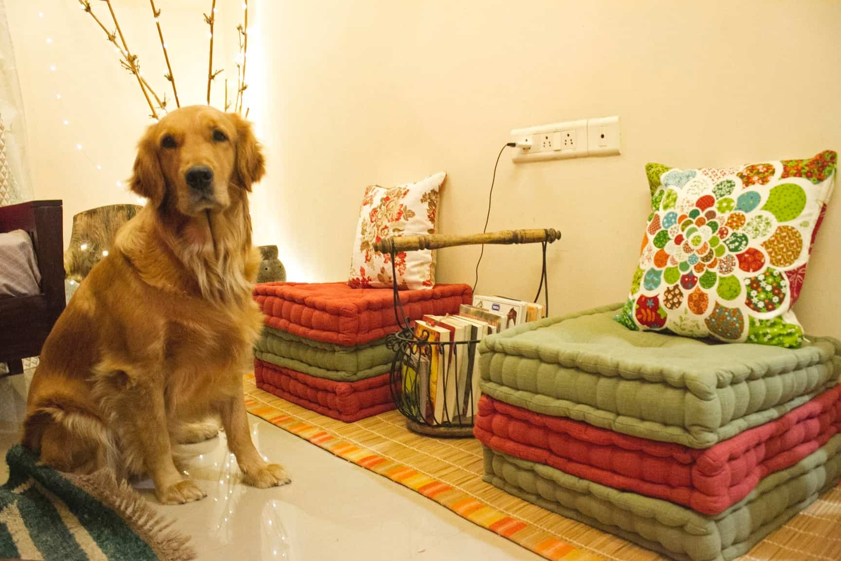 The Yellow Dwelling in Doddagubbi,Bangalore Best Cushion