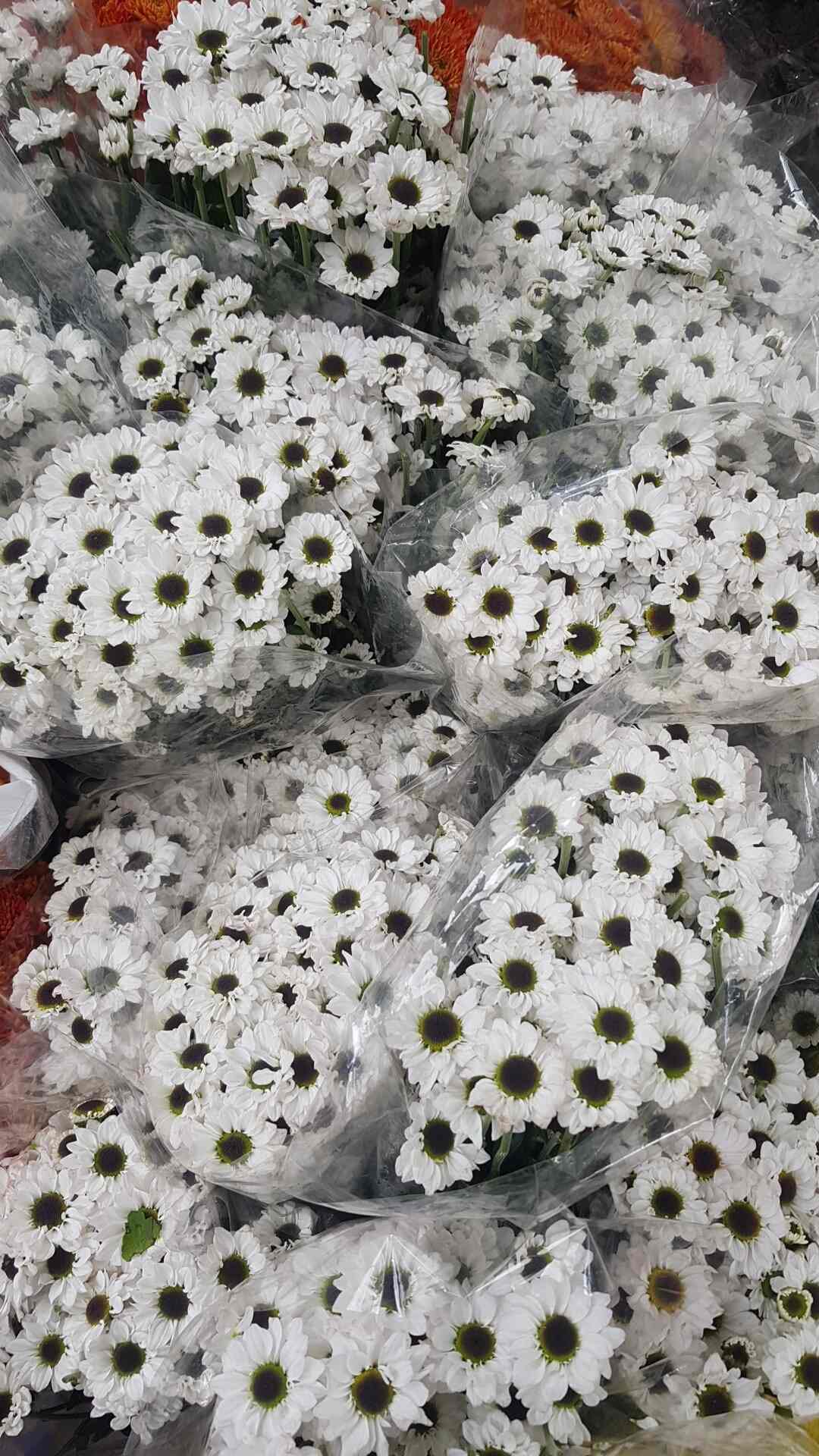 Shades Of Rainbow Florist in Koramangala,Bangalore Best Florists Home