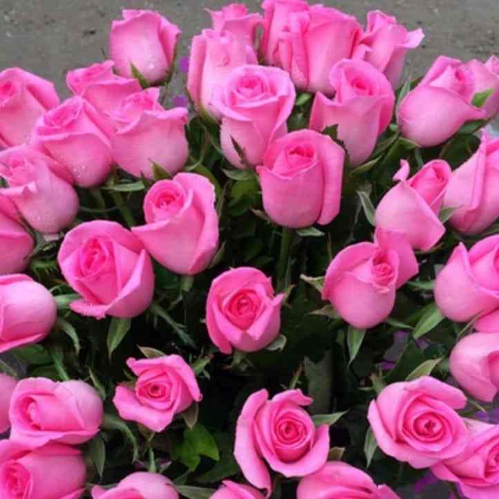 Shades Of Rainbow Florist in Koramangala,Bangalore Best Florists Home