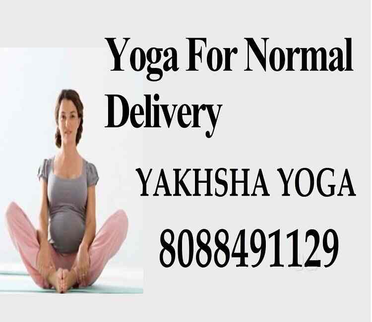 Yoga City in Jp Nagar 7th Phase,Bangalore Best Yoga Classes At Home