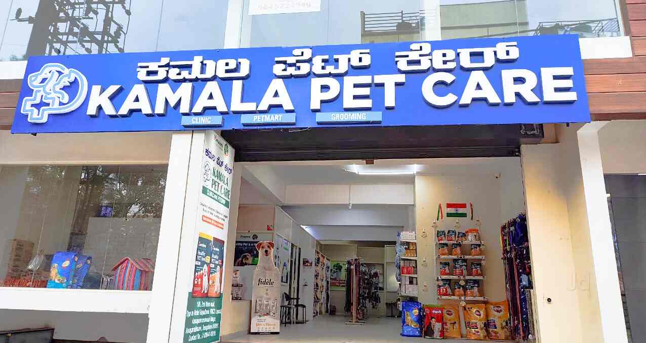 Pet care nearby best sale