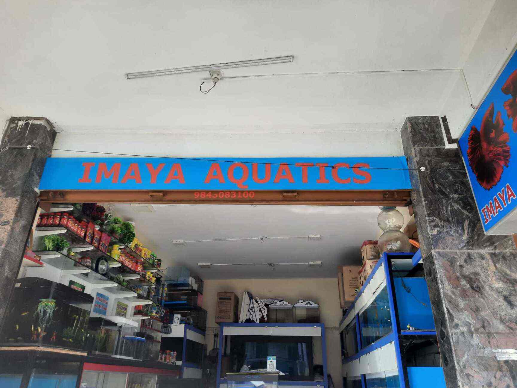 Aquatic stores near me discount