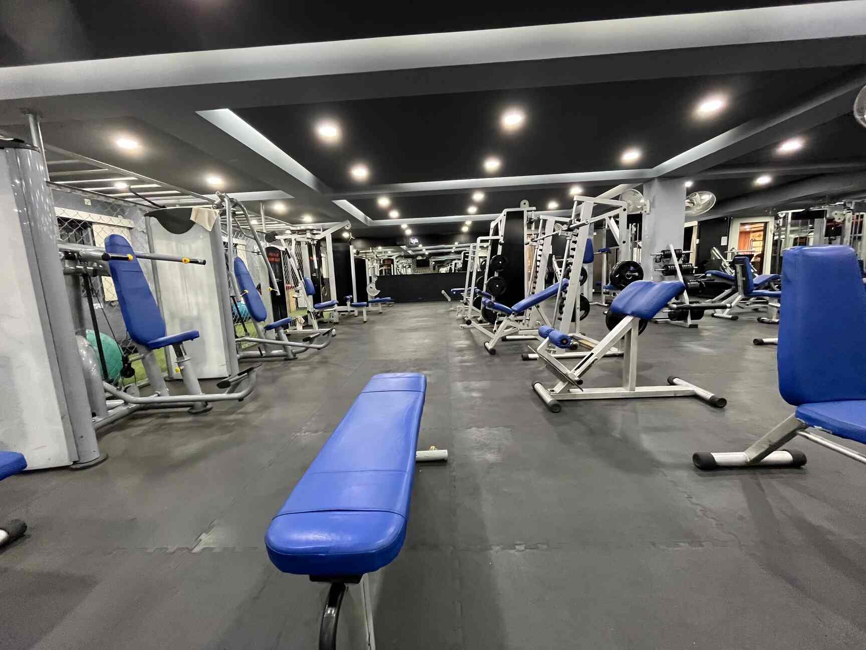 Top Gyms in MC Layout Best Fitness Center near me Justdial