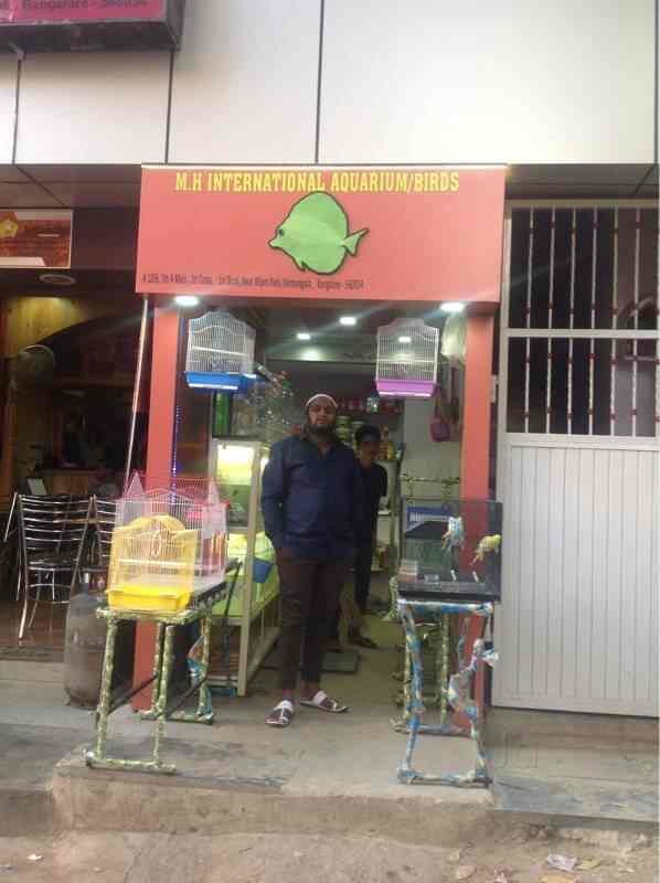 Aquarium shop in koramangala store