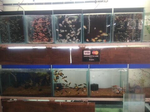 navy uniform name tapes