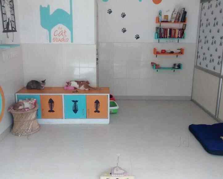 Top Pet Shops in Bangalore Best Pet Store near me Justdial