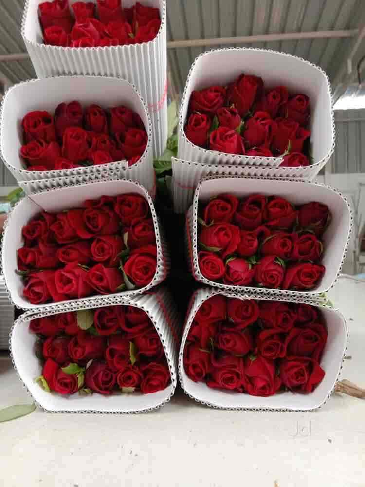 Top Flower Shops in Hosur Best Florists near me Justdial