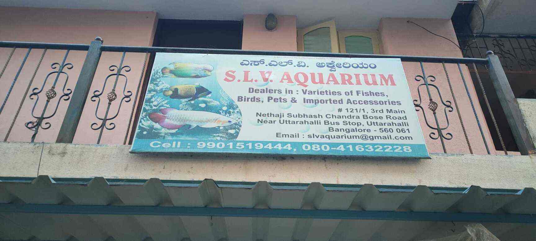 SLV Aquarium, Uttarahalli Pet Shops in Bangalore Justdial