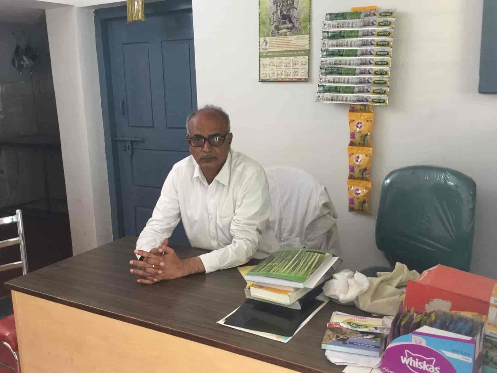 Top Pet Shops in Bangalore Best Pet Store near me Justdial