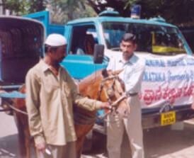 Karuna Animal Welfare Association in Kasturba Road - Best Animal Welfare Organisations in Bangalore - Justdial Karuna Animal Welfare Association in Kasturba Road - Best Animal Welfare Organisations in Bangalore - Justdial