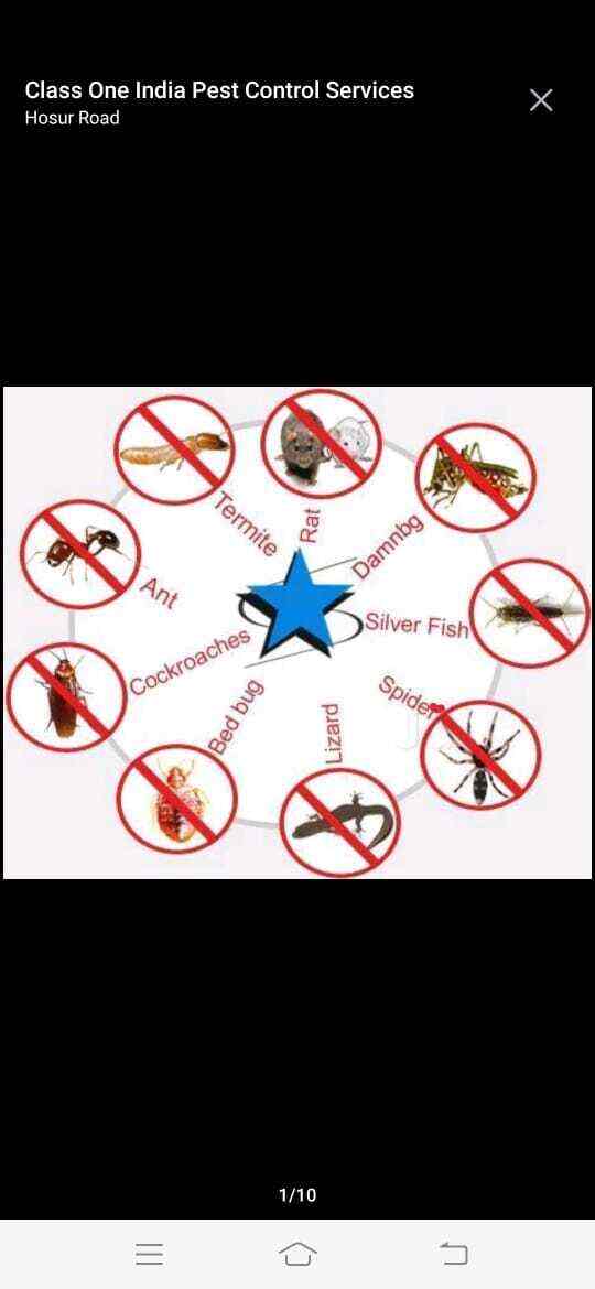 Nisarga Pest Control Service in Electronic City Phase 2,Bangalore