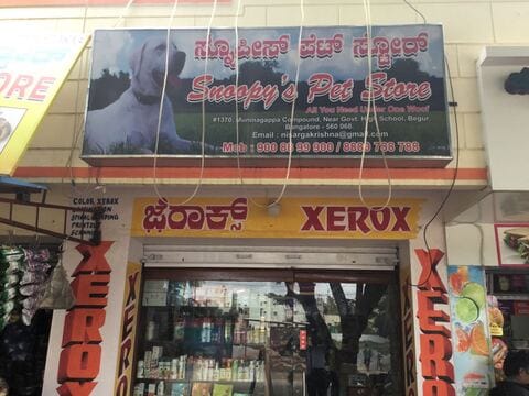 Snoopy pet shop top