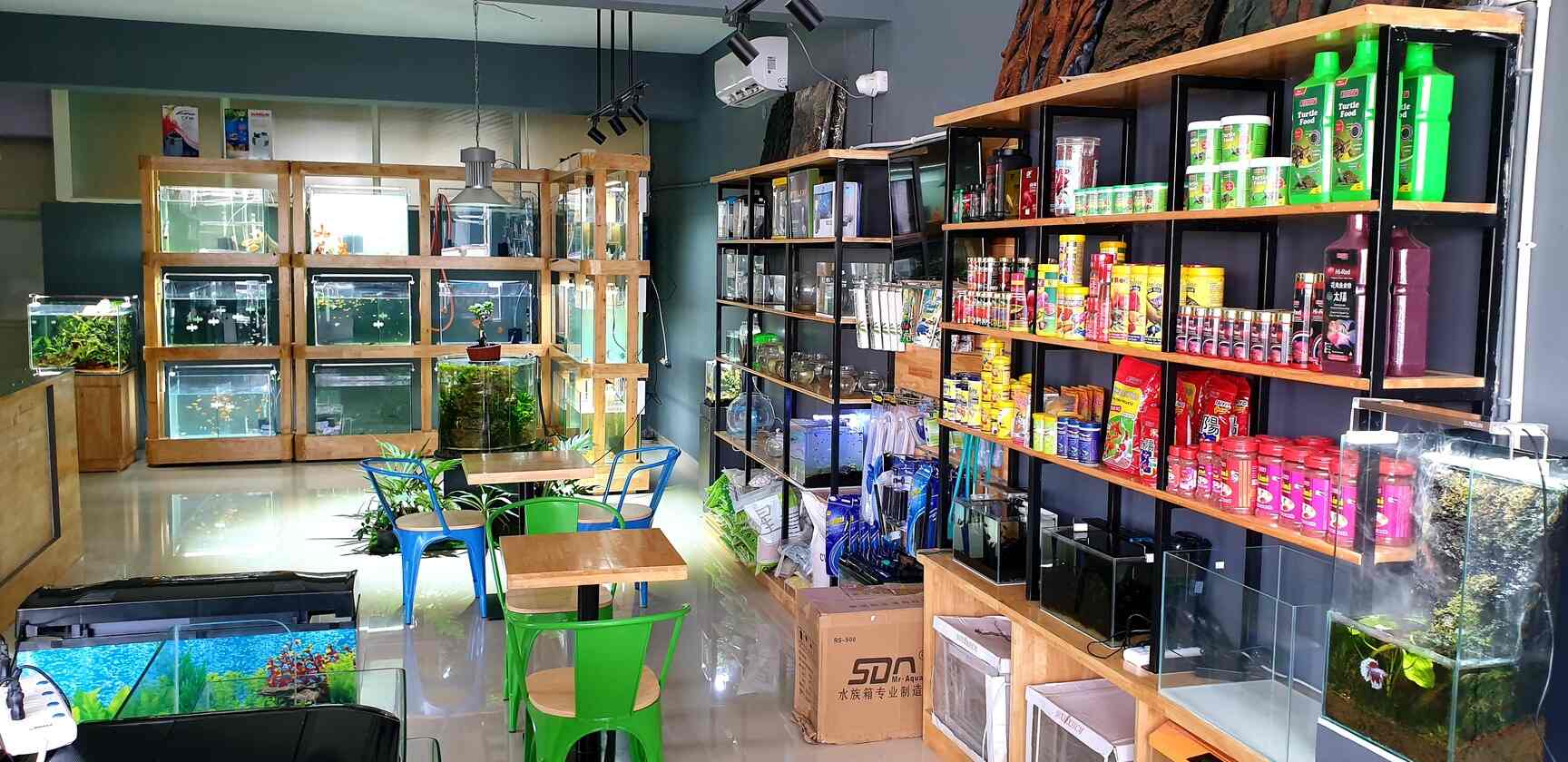 Top Pet Shops For Birds In Bidadi Industrial Area Best Bird Shops Bangalore Justdial