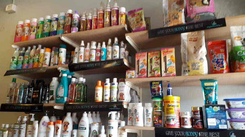 Top Pet Shops For Rabbit In Vidyaranyapura Best Pet Stores For Rabbit Bangalore Justdial