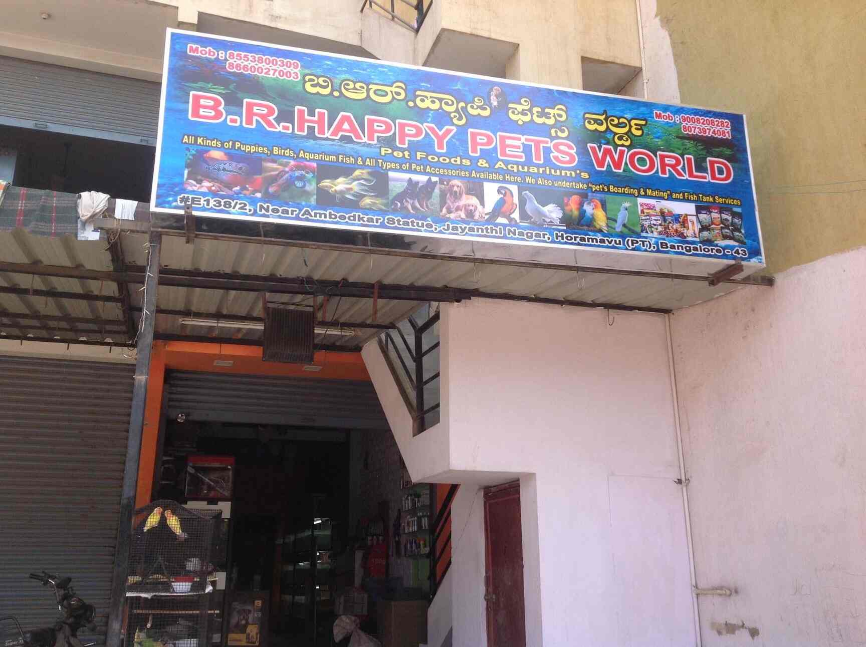 Top 10 Pet Shops For Exotic Birds In Kammanahalli Best Pet Stores For Exotic Birds Bangalore Justdial