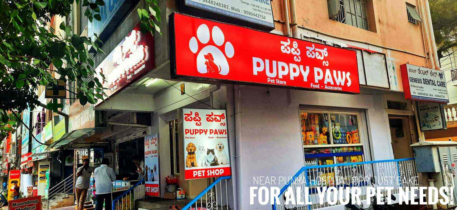 puppy paws store