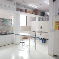 Top Pet Shops in Bangalore Best Pet Store near me Justdial