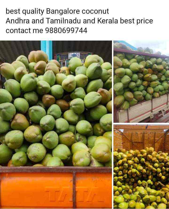 Top Coconut Wholesalers in Immadihalli Best /b2b/food And Beverages