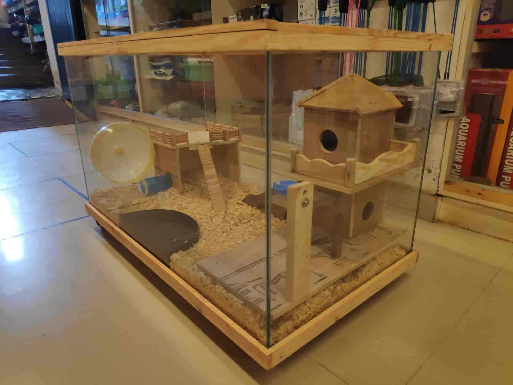 Pet shop in electronic city store phase 1