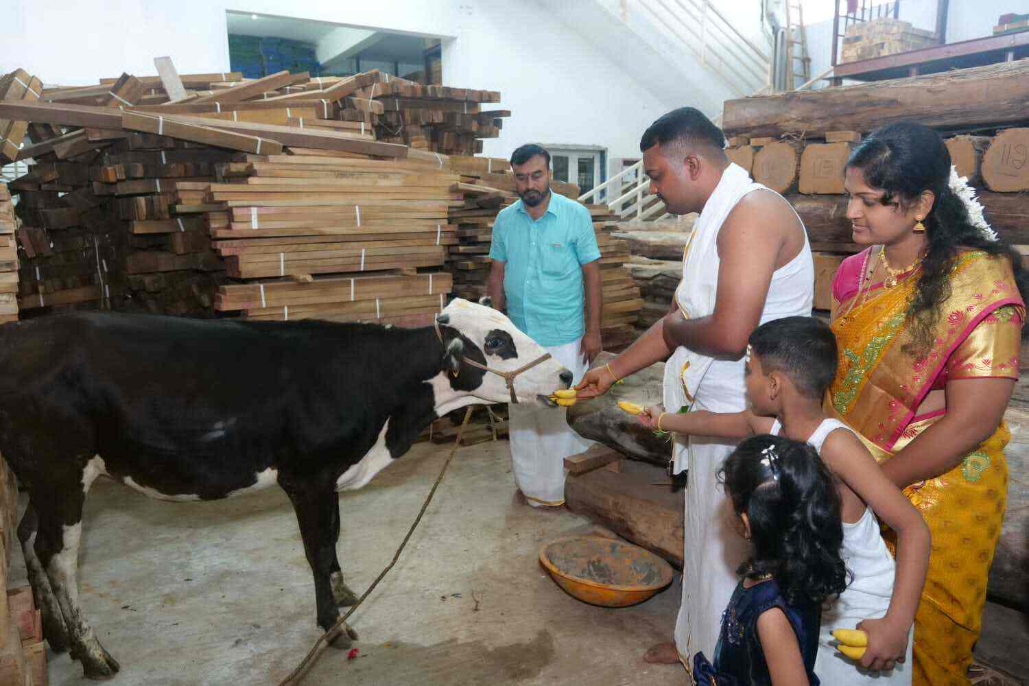 Top Brazil Teak Wood Dealers in Bangalore ब्राज़ील टीक वुड डीलर्स, बैंगलोर near me Justdial