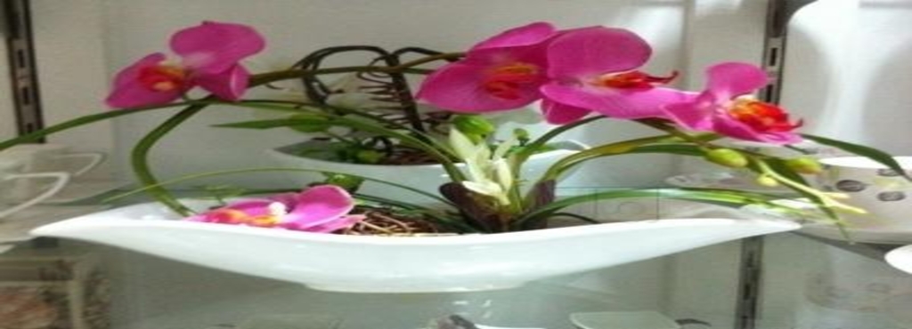 Modern European Home Decor In Bangalore Gallery Of Sammavesh Products Chumbak Photos Commercial Street Bangalore Home Decor Dealers
