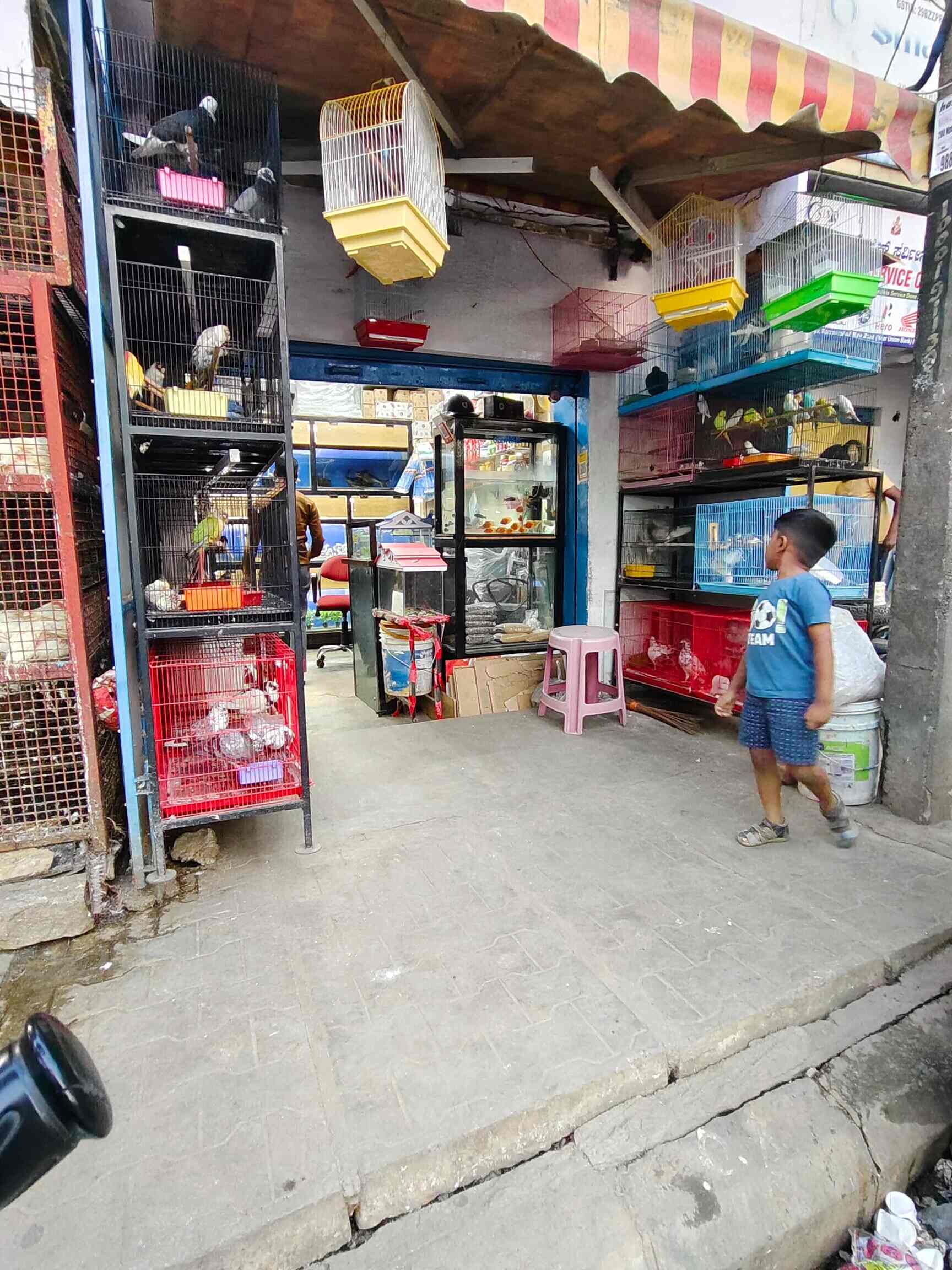 Farman Pets and Aquarium Shop in Kammanahalli,Bangalore Best Aquarium