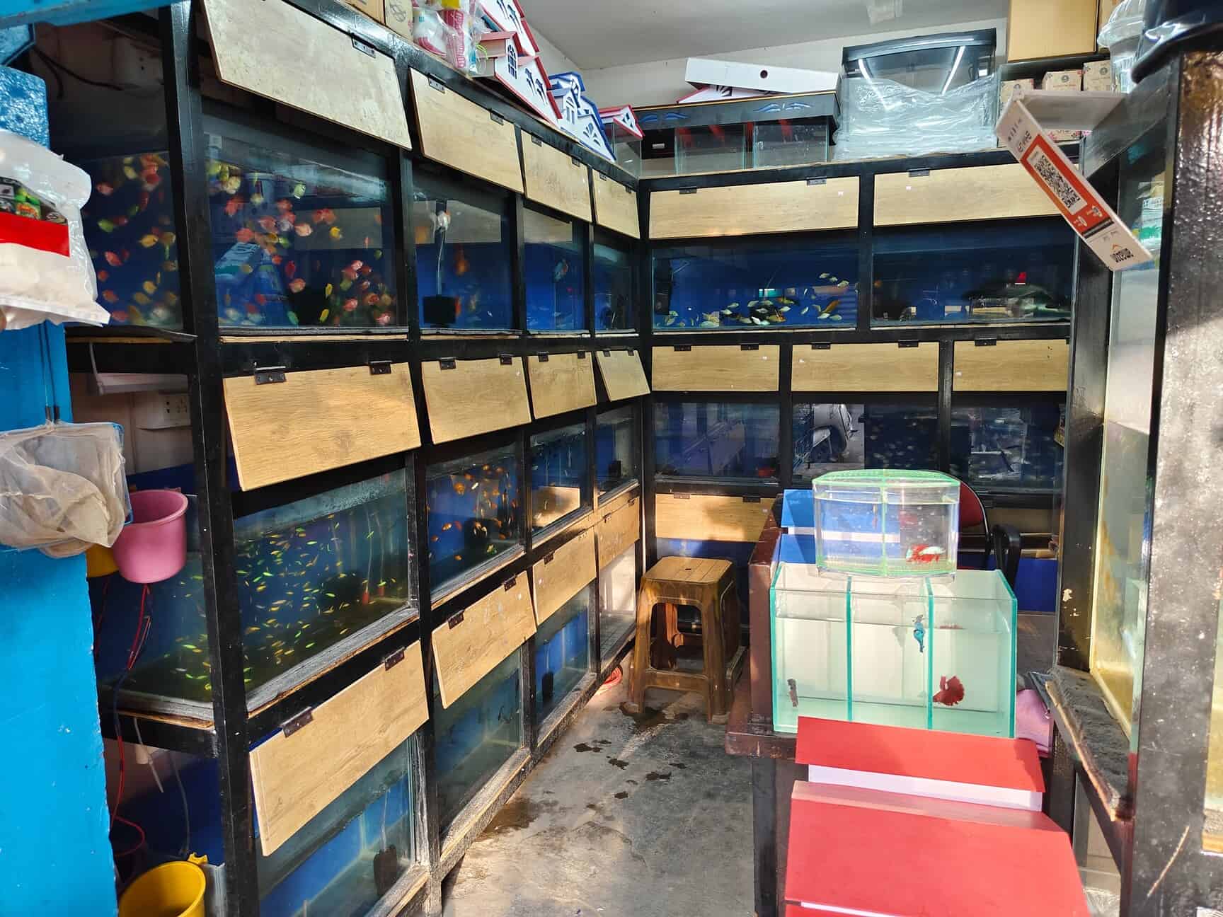 Farman Pets and Aquarium Shop in Kammanahalli,Bangalore Best Aquarium