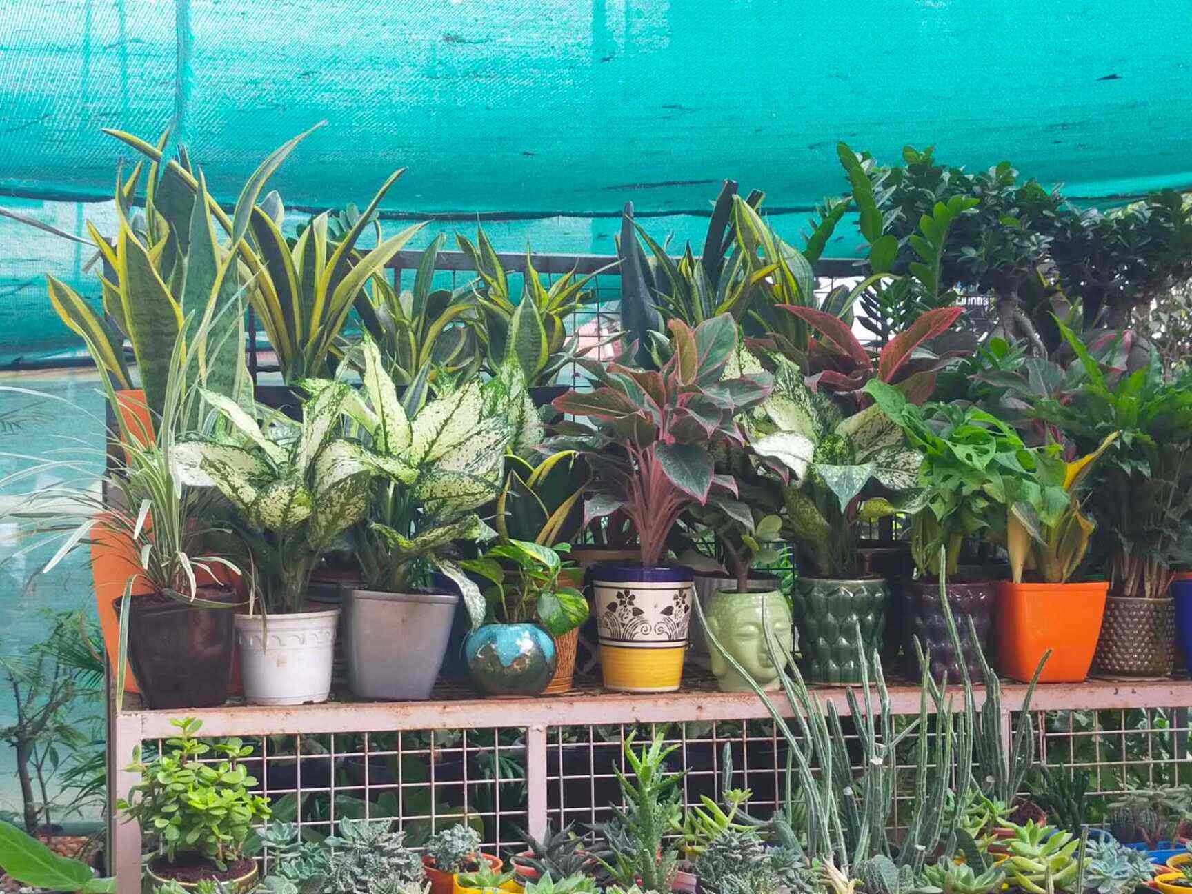 Top Red Soil Dealers in Yelahanka, Bangalore रेड साइल डीलर्स