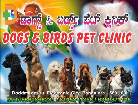 Pet shop in electronic city sales phase 1