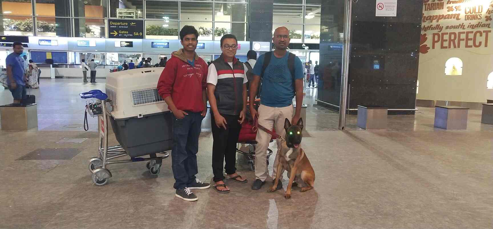 Top Pet Shops in Bangalore Best Pet Store near me Justdial