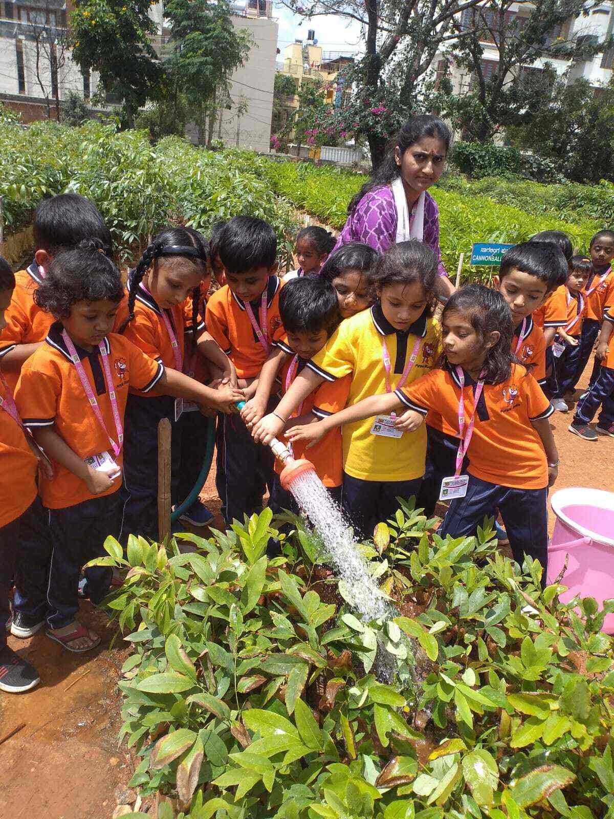 Purble Buds Kindergarten in Hbr Layout 1st Stage,Bangalore Best