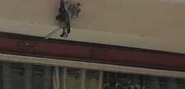 Top 10 Window Curtain Wholesalers In South Road Bangalore Justdial