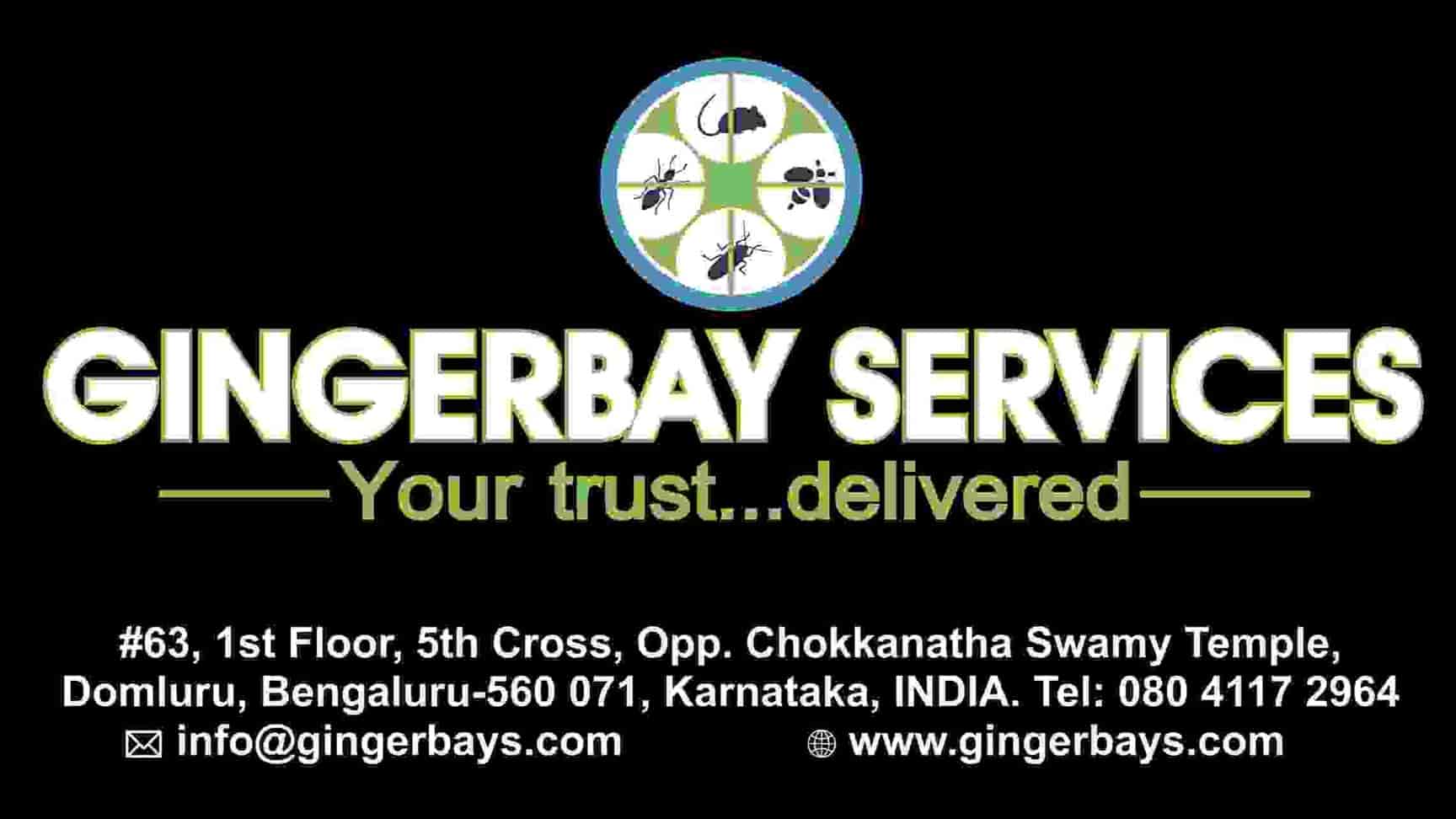 Gingerbays Pest Control Services in Domlur,Bangalore Best Gel Pest