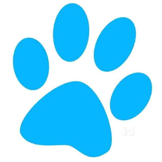 Shvan Kennel in Sarjapura,Bangalore Best Kennel Service in Bangalore Justdial