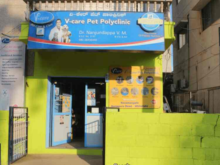 v care pet clinic whitefield
